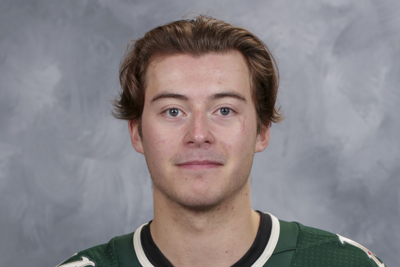 Minnesota Wild Headshots