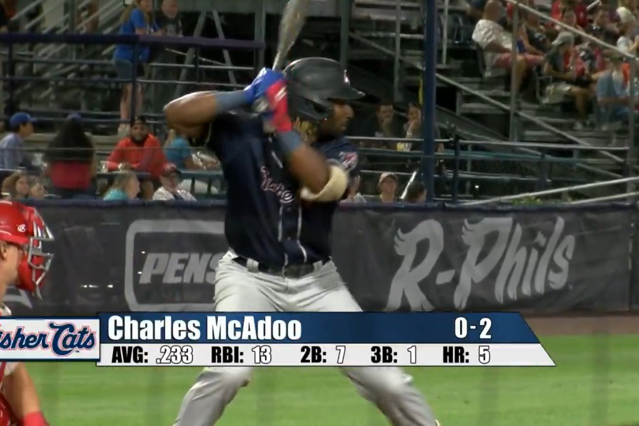 Charles McAdoo at the plate for the New Hampshire Fisher Cats